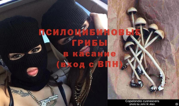 эйфоретик Бугульма