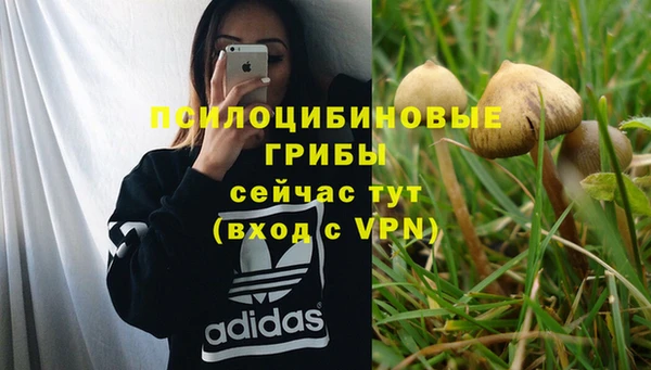 эйфоретик Бугульма