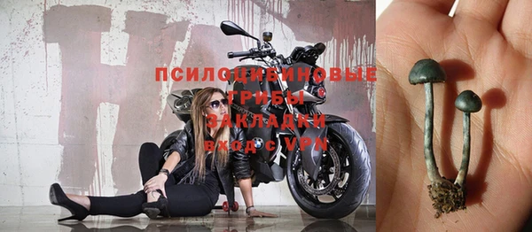 прущая мука Бородино