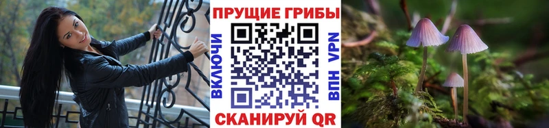 Псилоцибиновые грибы Magic Shrooms Сланцы